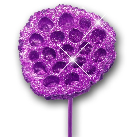 Lotus Heads on stem 'purple purple glitter' Nelumbo