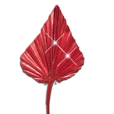 Palm Spear 'red red glitter'
