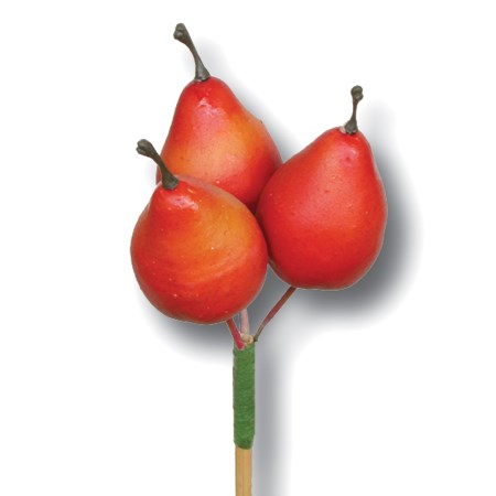 Pear 3 pc on stem 'red'