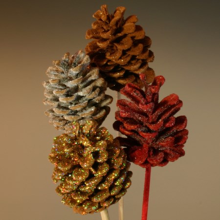 Pinecones frosted mixed