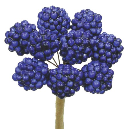 Raspberry on stem 'blue'