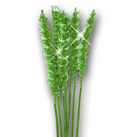 Wheat 'green green glitter' Triticim