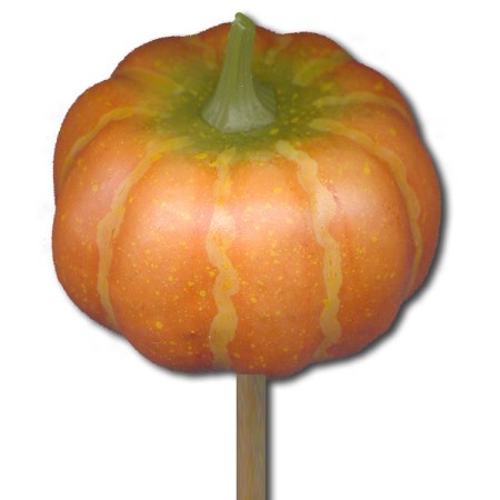 Mini Pumpkin on stem