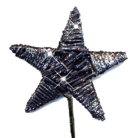 Lata star on stem flat 'black multi glitter'