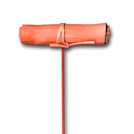 Leave roll on stem 'orange'