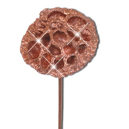 Lotus Heads on stem 'copper copper glitter' Nelumbo