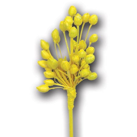 Motti bunch on stem 'yellow'