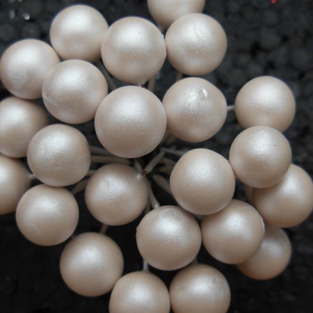 Pearl Clusters 'Ivory'