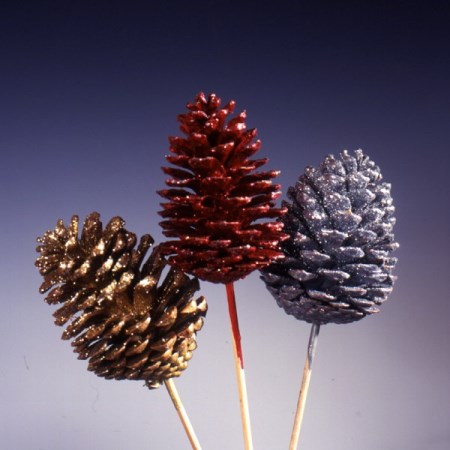 Pine cone on stem 'Glittered & Waxed'