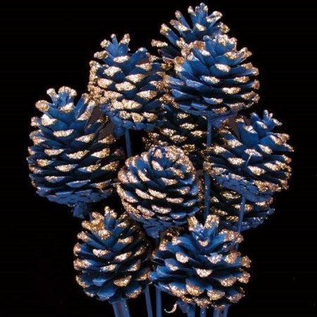 Pine cone on stem 'Painted'