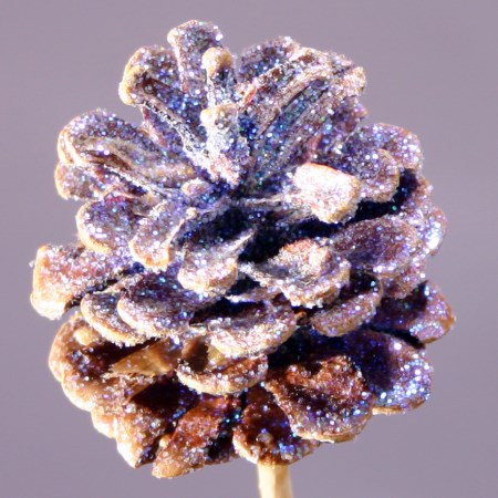 Pine cone on stem 'Mixed Sparkles'