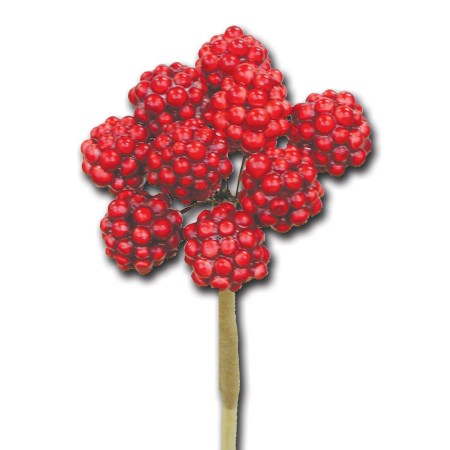 Raspberry on stem 'red'