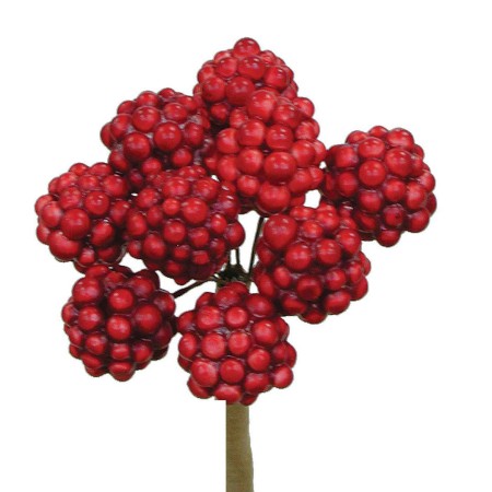 Raspberry on stem 'red'