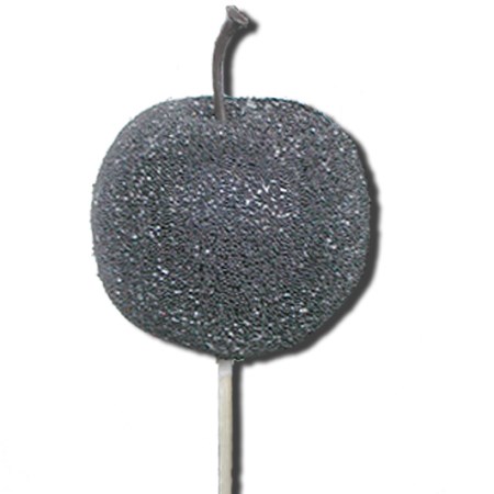 Sugar apple 5 cm on stem 'black'