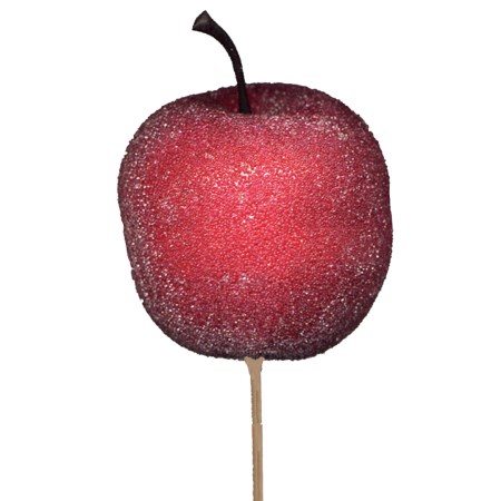 Sugar apple 5 cm on stem 'red'
