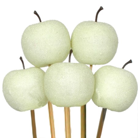 Sugar apple 5 cm on stem 'white'