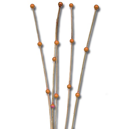 Ting ting 3 beads 'natural orange bead'