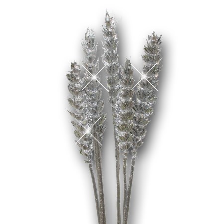 Wheat 'silver silver glitter' Triticim