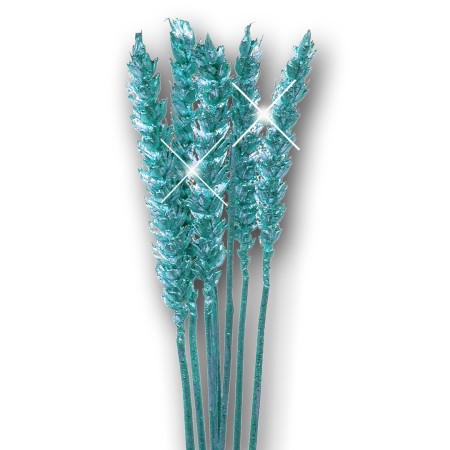 Wheat 'ice blue blue glitter' Triticim