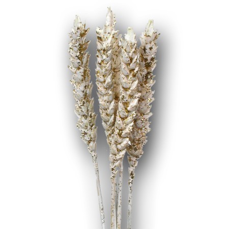 Wheat 'ivory gold glitter' Triticim