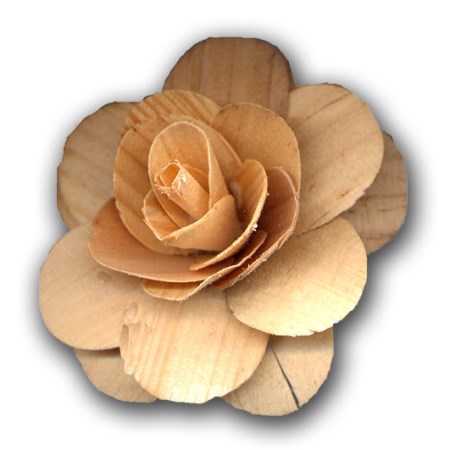 Woodrose 5 cm on stem 'natural'