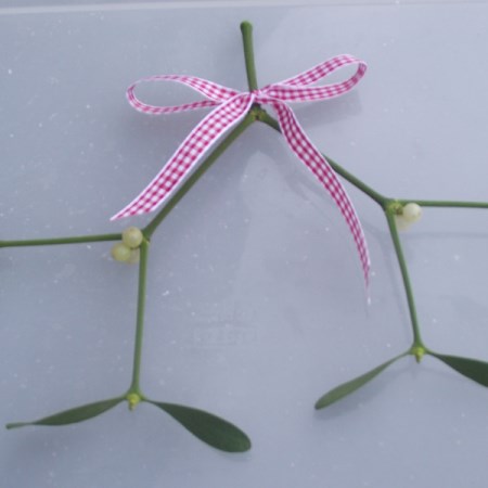 Mistletoe 'Sprig' with bow