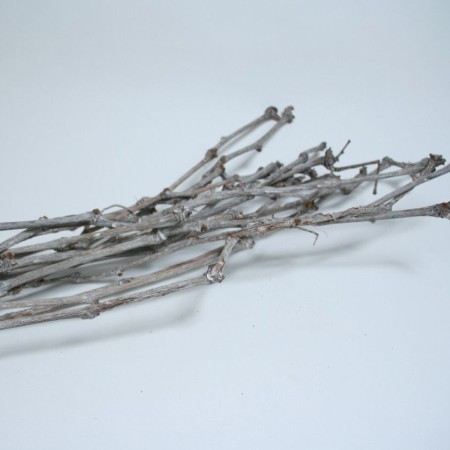 Grape Branch Bundle 'White Wash' 100cm