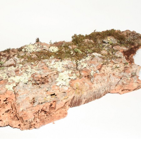 Cork Plate 'Natural' 100-150cm