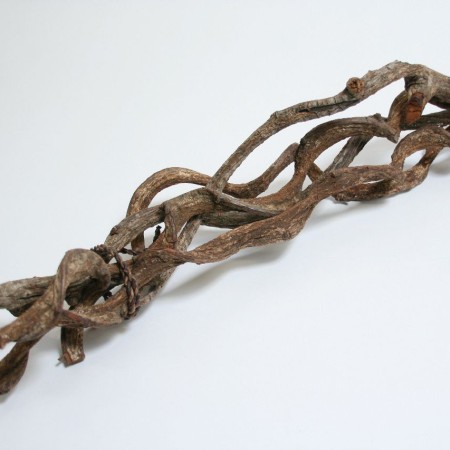 Curly Vine 'Natural' 60cm