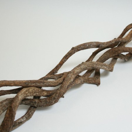 Curly Vine 'Natural' 100cm