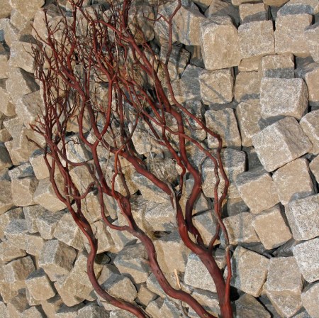 Manzanita 'Natural' 300cm