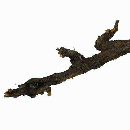 Grapewood Stem Goblet 'Natural' 25-45cm