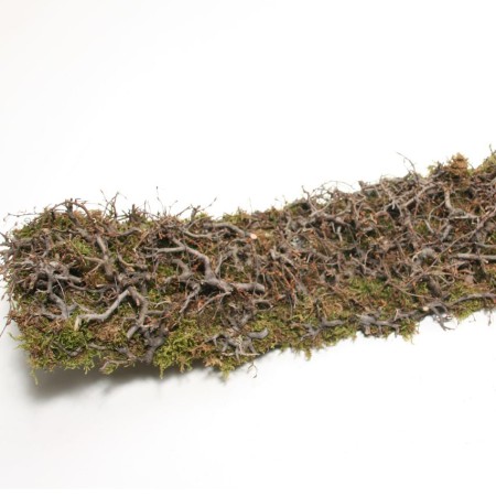 Wild Bonsaimoss Bowl 'Natural' 60cm