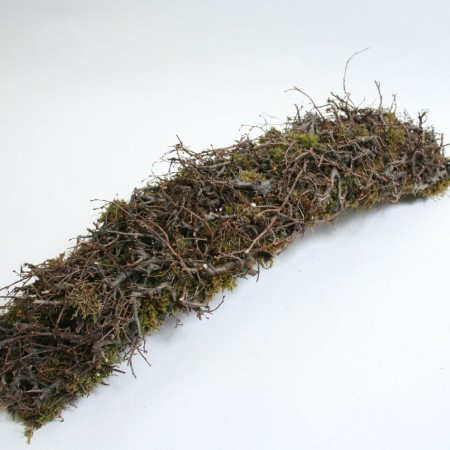 Wild Bonsaimoss Wave 'Natural' 60cm