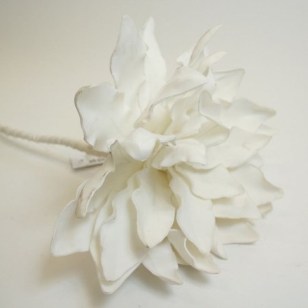 Dracaena Flower 'White' 90cm