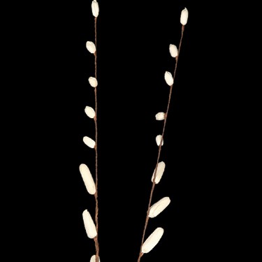 Sola 5 Lankakuris & 5 Buds Stick 90cm