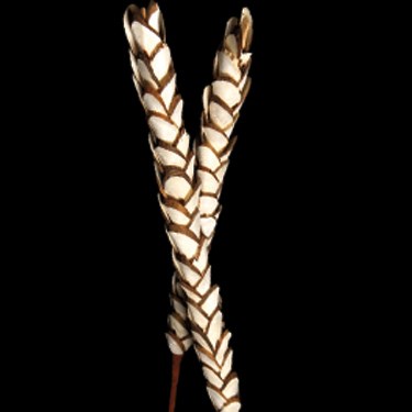 Sola Pine Stick 70-75cm
