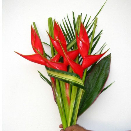 Flat Bouquet Samba 'B42'