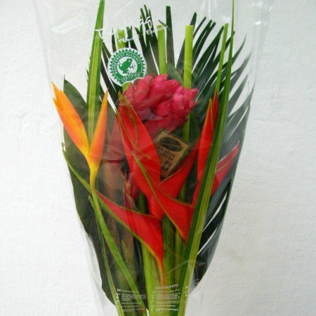 Flat Bouquet Caribe 'B60'