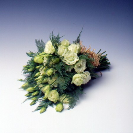 Lisianthus 'White Mariachi' Eustoma