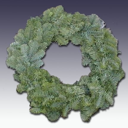 Noble Fir Wreath Abies nobilis