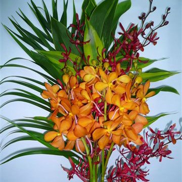 Premium Exotic Orchid Bouquets - Mokara