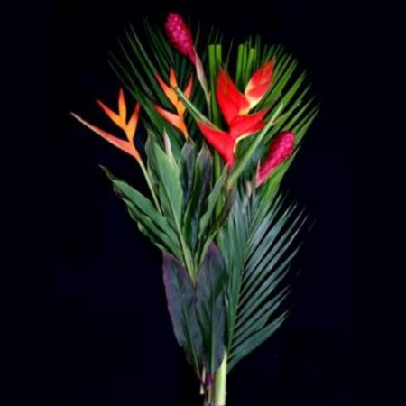 Tropical Bouquets