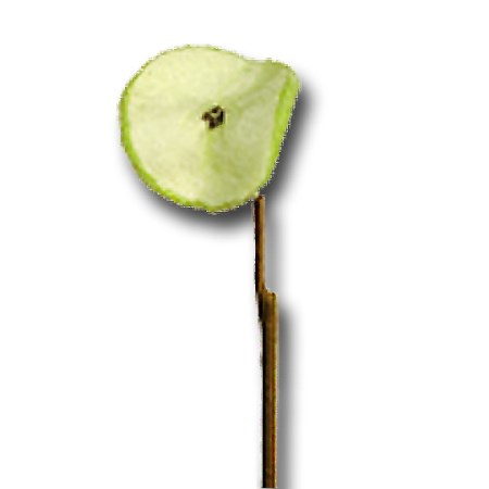 Apple slice on stem 'green'