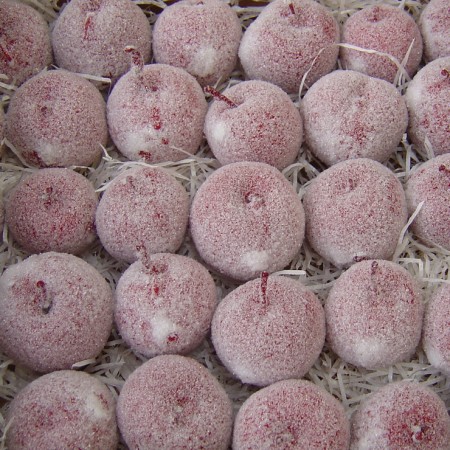 Apples Waxed on Sticks 'Red, White or red frosted'