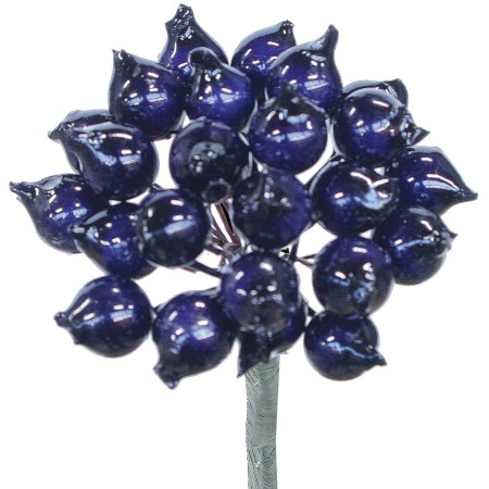 Berry Cluster on stem 'blue'
