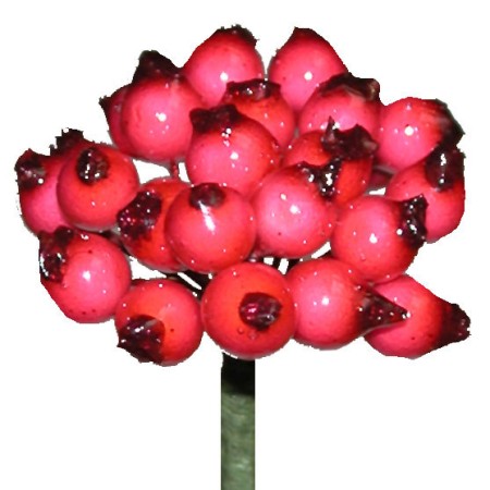 Berry Cluster on stem 'pink'. Dried, Painted and Decorative | Sunflora