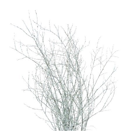 Birch Branch 115 cm 'silver large glitter' Betula pendula