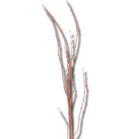 Birch Branch 55 cm 'orange' Betula pendula