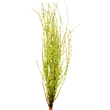 Birch Branch 55 cm 'green cristal clear' Betula pendula